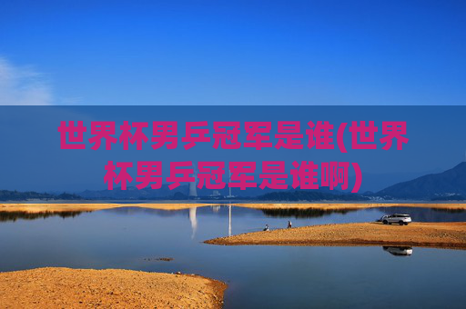 世界杯男乒冠军是谁(世界杯男乒冠军是谁啊)