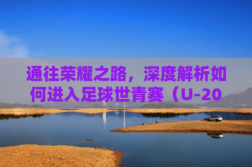 通往荣耀之路,深度解析如何进入足球世青赛(U-20世界杯)