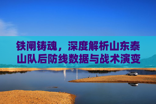 铁闸铸魂,深度解析山东泰山队后防线数据与战术演变