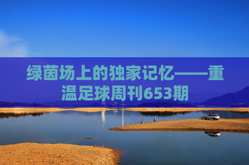 绿茵场上的独家记忆——重温足球周刊653期