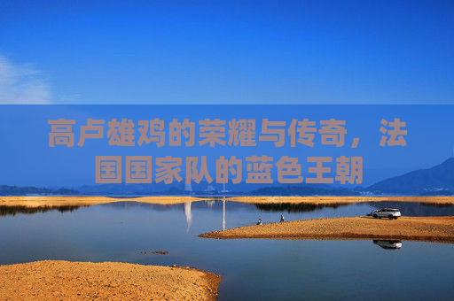 高卢雄鸡的荣耀与传奇,法国国家队的蓝色王朝