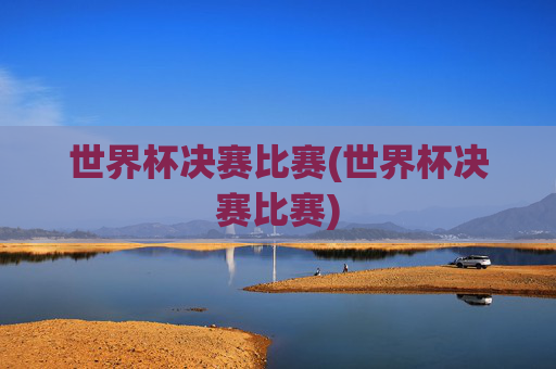 世界杯决赛比赛(世界杯决赛比赛)