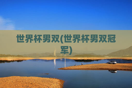 世界杯男双(世界杯男双冠军)