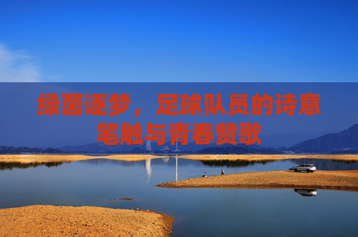 绿茵逐梦，足球队员的诗意笔触与青春赞歌