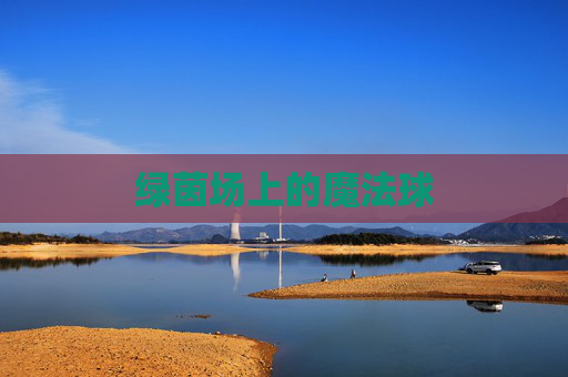 绿茵场上的魔法球