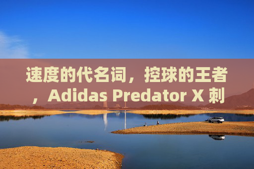 速度的代名词，控球的王者，Adidas Predator X 刺客足球鞋深度测评