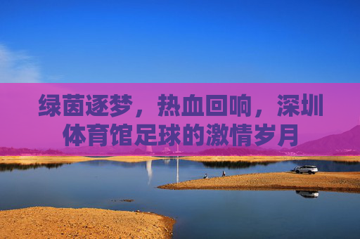 绿茵逐梦,热血回响,深圳体育馆足球的激情岁月
