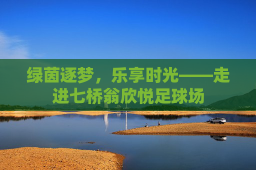 绿茵逐梦,乐享时光——走进七桥翁欣悦足球场