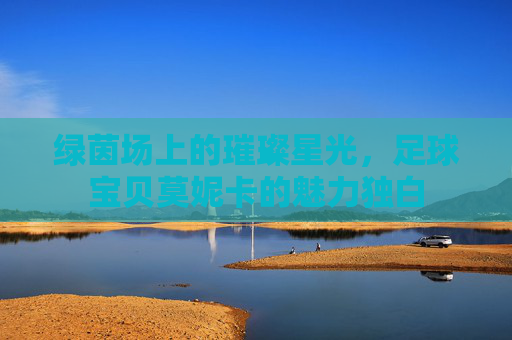 绿茵场上的璀璨星光，足球宝贝莫妮卡的魅力独白