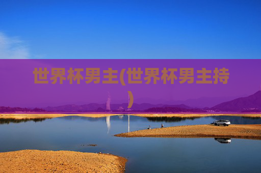 世界杯男主(世界杯男主持)