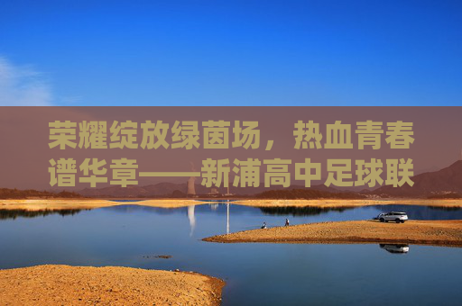 荣耀绽放绿茵场,热血青春谱华章——新浦高中足球联赛排名重磅出炉
