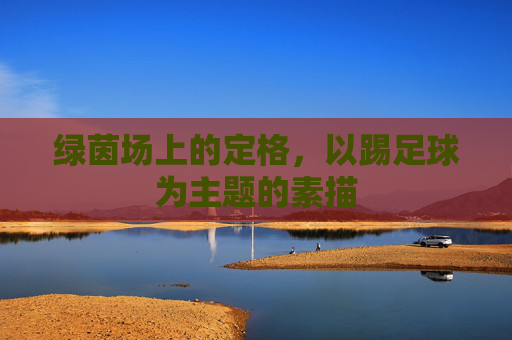 绿茵场上的定格，以踢足球为主题的素描