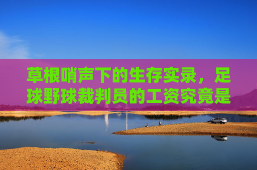 草根哨声下的生存实录，足球野球裁判员的工资究竟是多少？