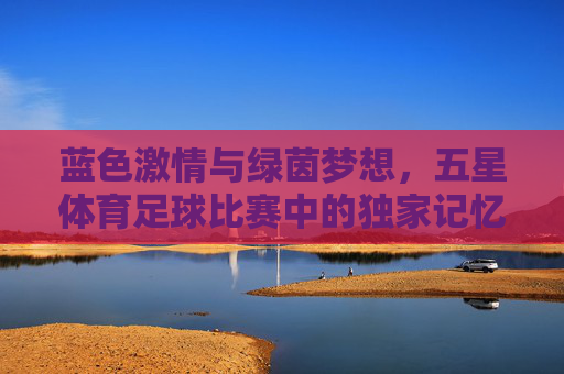 蓝色激情与绿茵梦想，五星体育足球比赛中的独家记忆