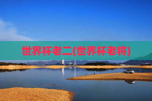 世界杯老二(世界杯老将)