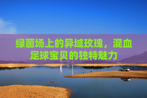 绿茵场上的异域玫瑰,混血足球宝贝的独特魅力