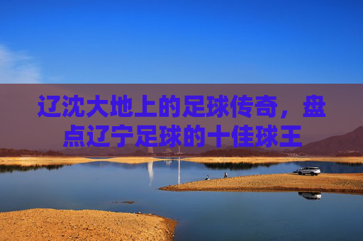 辽沈大地上的足球传奇，盘点辽宁足球的十佳球王