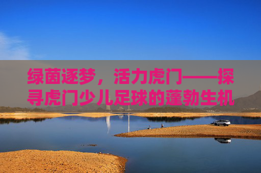 绿茵逐梦，活力虎门——探寻虎门少儿足球的蓬勃生机