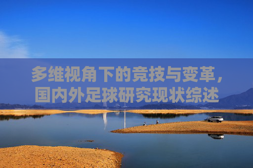 多维视角下的竞技与变革,国内外足球研究现状综述