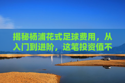 揭秘杨浦花式足球费用,从入门到进阶,这笔投资值不值?