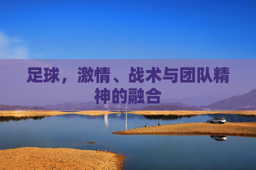 足球，激情、战术与团队精神的融合