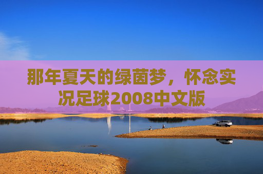 那年夏天的绿茵梦,怀念实况足球2008中文版