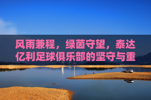 风雨兼程,绿茵守望,泰达亿利足球俱乐部的坚守与重生