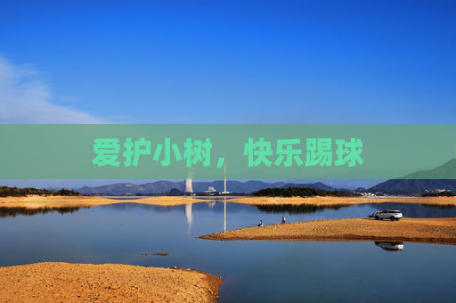 爱护小树,快乐踢球