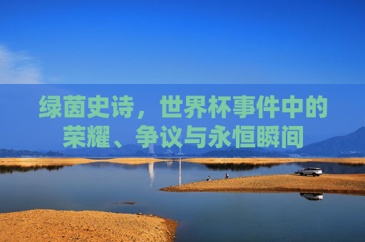 绿茵史诗,世界杯事件中的荣耀、争议与永恒瞬间