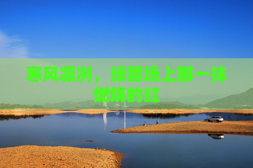 寒风凛冽,绿茵场上那一抹燃烧的红