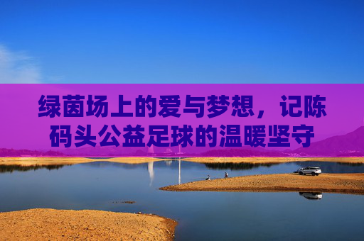 绿茵场上的爱与梦想,记陈码头公益足球的温暖坚守