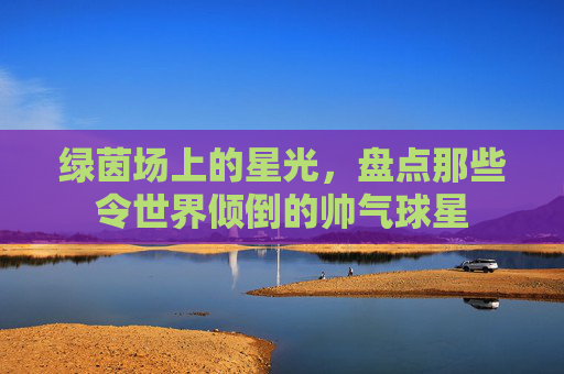 绿茵场上的星光，盘点那些令世界倾倒的帅气球星