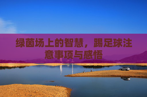 绿茵场上的智慧，踢足球注意事项与感悟
