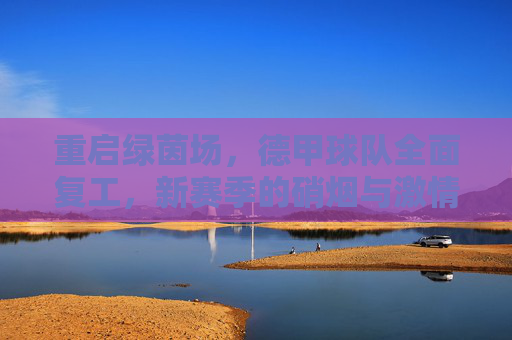 重启绿茵场,德甲球队全面复工,新赛季的硝烟与激情
