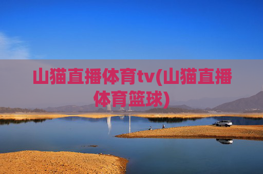 山猫直播体育tv(山猫直播体育篮球)