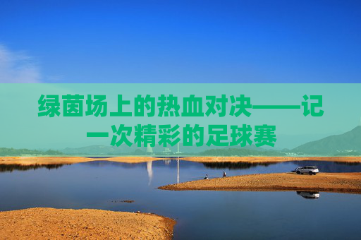 绿茵场上的热血对决——记一次精彩的足球赛
