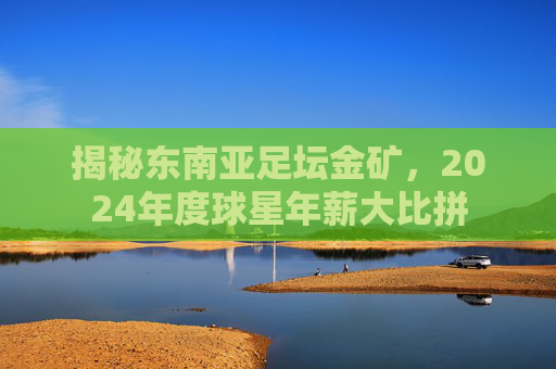 揭秘东南亚足坛金矿,2024年度球星年薪大比拼