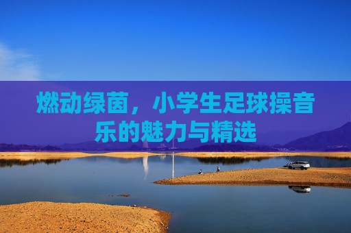 燃动绿茵,小学生足球操音乐的魅力与精选