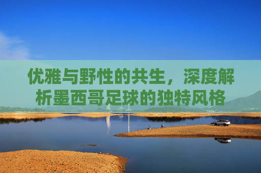 优雅与野性的共生,深度解析墨西哥足球的独特风格