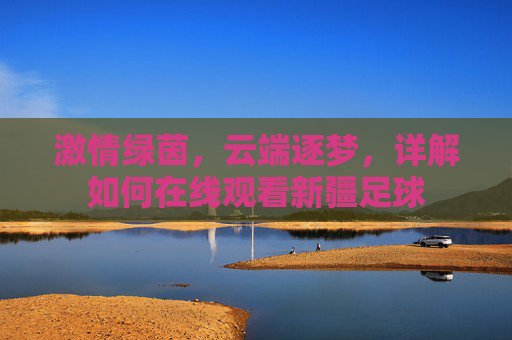 激情绿茵，云端逐梦，详解如何在线观看新疆足球