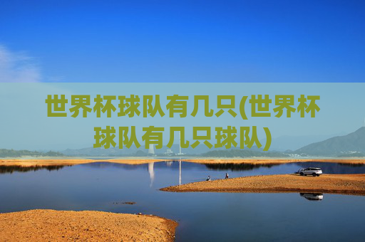 世界杯球队有几只(世界杯球队有几只球队)