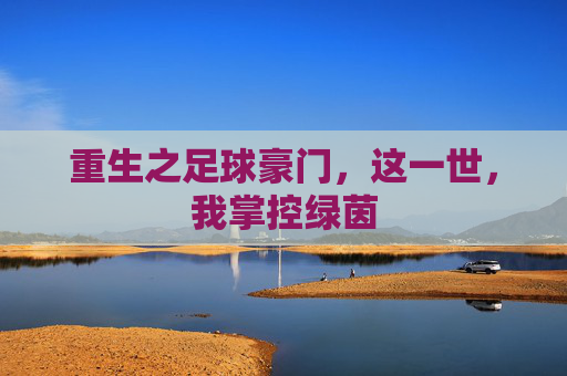 重生之足球豪门，这一世，我掌控绿茵