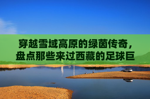 穿越雪域高原的绿茵传奇，盘点那些来过西藏的足球巨星