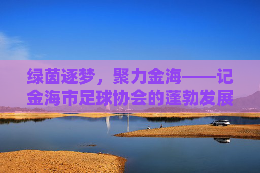 绿茵逐梦，聚力金海——记金海市足球协会的蓬勃发展