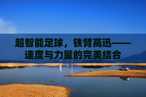超智能足球,铁臂高迅——速度与力量的完美结合