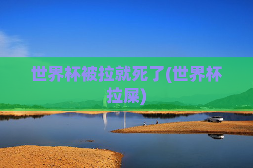 世界杯被拉就死了(世界杯拉屎)