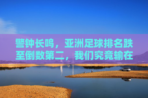 警钟长鸣,亚洲足球排名跌至倒数第二,我们究竟输在哪里?