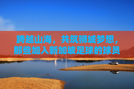 跨越山海,共筑狮城梦想,那些加入新加坡足球的球员们