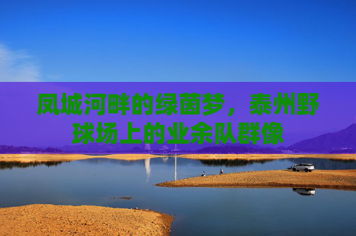 凤城河畔的绿茵梦，泰州野球场上的业余队群像
