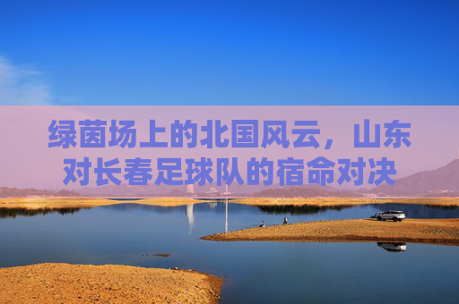 绿茵场上的北国风云,山东对长春足球队的宿命对决